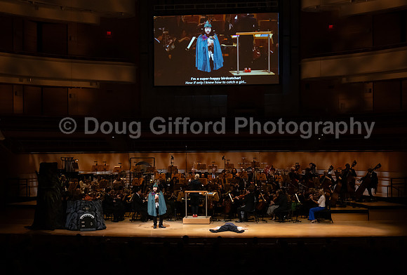 Pacific Symphony / Leopold & The Magic Flute: Opera For Kids!