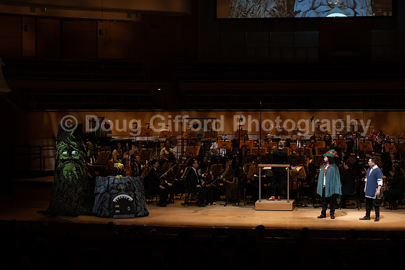 Pacific Symphony / Leopold & The Magic Flute: Opera For Kids!