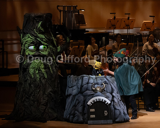 Pacific Symphony / Leopold & The Magic Flute: Opera For Kids!