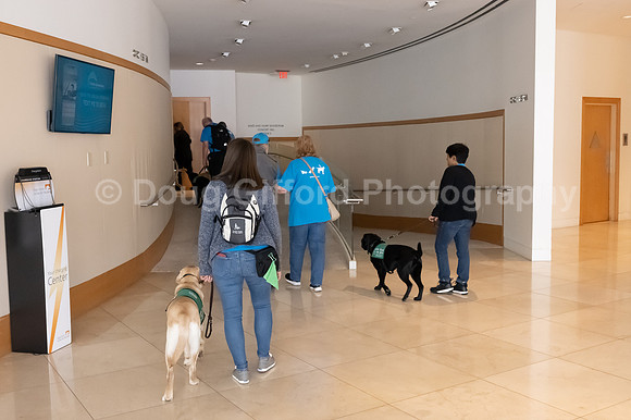 Walt Disney Animation Concert & Guide Dogs for the Blind