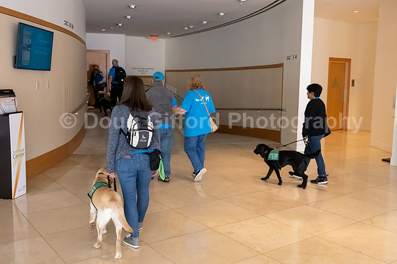 Walt Disney Animation Concert & Guide Dogs for the Blind