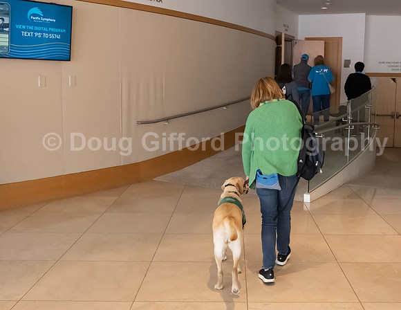 Walt Disney Animation Concert & Guide Dogs for the Blind