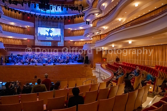 Walt Disney Animation Concert & Guide Dogs for the Blind