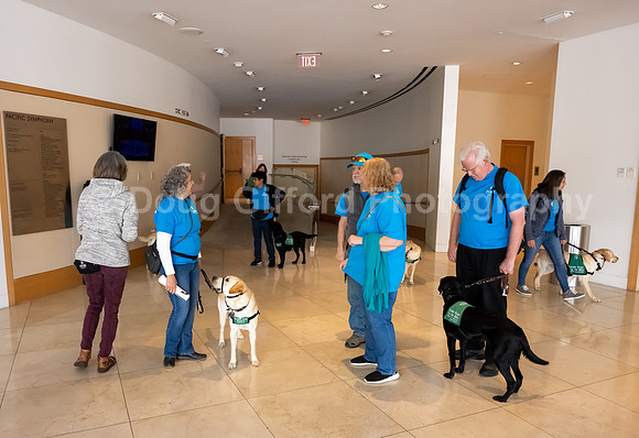 Walt Disney Animation Concert & Guide Dogs for the Blind