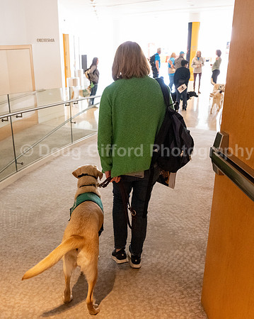 Walt Disney Animation Concert & Guide Dogs for the Blind
