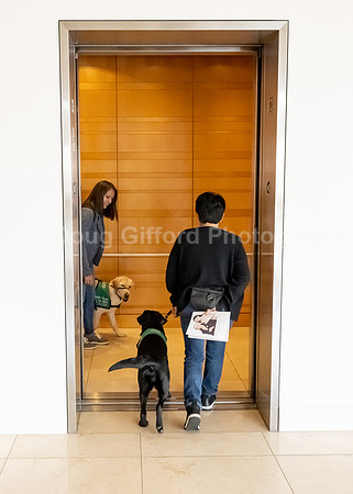 Walt Disney Animation Concert & Guide Dogs for the Blind