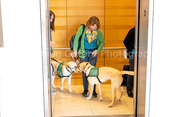 Walt Disney Animation Concert & Guide Dogs for the Blind