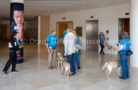 Walt Disney Animation Concert & Guide Dogs for the Blind