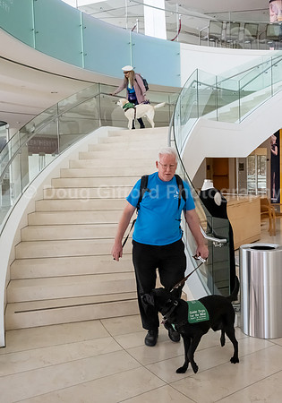Walt Disney Animation Concert & Guide Dogs for the Blind