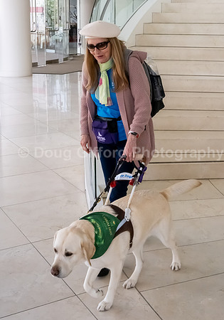 Walt Disney Animation Concert & Guide Dogs for the Blind