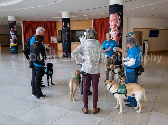 Walt Disney Animation Concert & Guide Dogs for the Blind