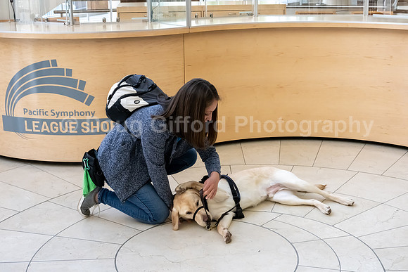 Walt Disney Animation Concert & Guide Dogs for the Blind