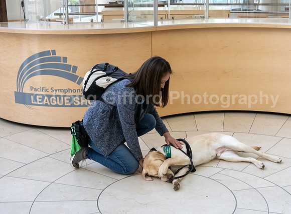 Walt Disney Animation Concert & Guide Dogs for the Blind