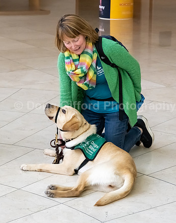 Walt Disney Animation Concert & Guide Dogs for the Blind