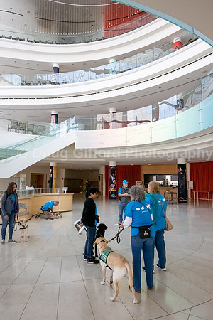 Walt Disney Animation Concert & Guide Dogs for the Blind