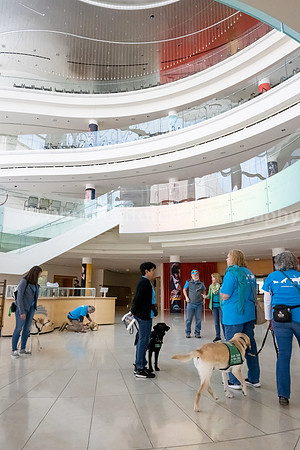 Walt Disney Animation Concert & Guide Dogs for the Blind