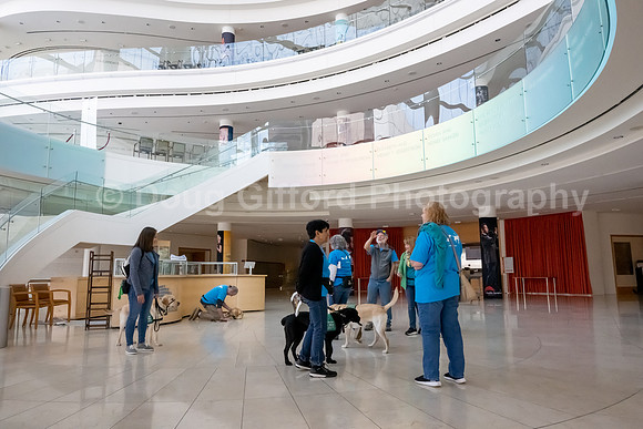 Walt Disney Animation Concert & Guide Dogs for the Blind