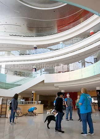 Walt Disney Animation Concert & Guide Dogs for the Blind