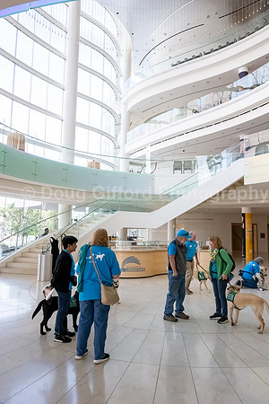 Walt Disney Animation Concert & Guide Dogs for the Blind
