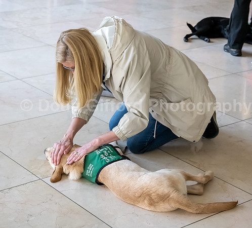 Walt Disney Animation Concert & Guide Dogs for the Blind