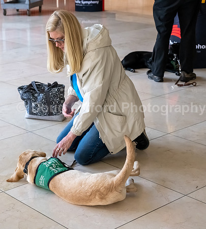 Walt Disney Animation Concert & Guide Dogs for the Blind