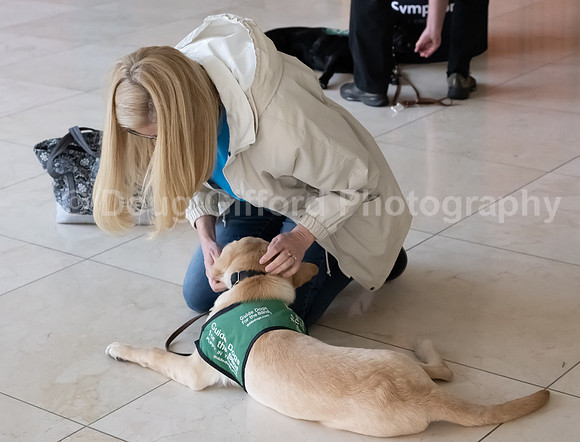 Walt Disney Animation Concert & Guide Dogs for the Blind