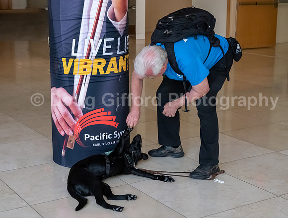 Walt Disney Animation Concert & Guide Dogs for the Blind