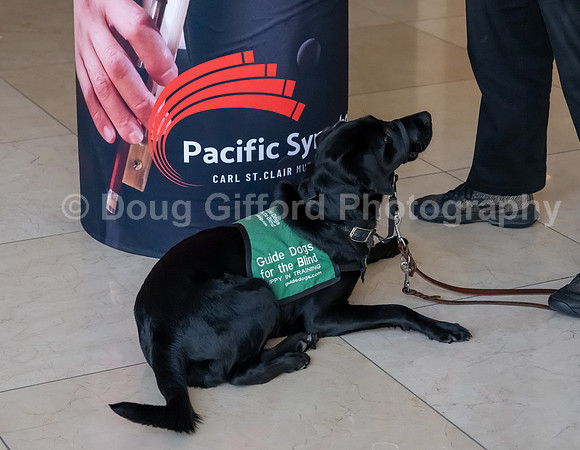 Walt Disney Animation Concert & Guide Dogs for the Blind