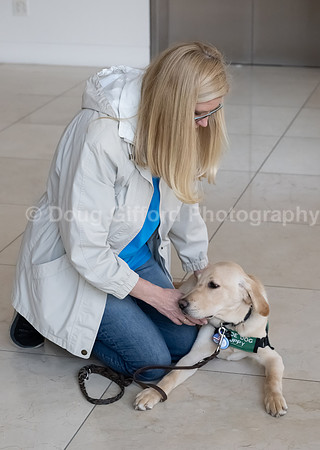 Walt Disney Animation Concert & Guide Dogs for the Blind
