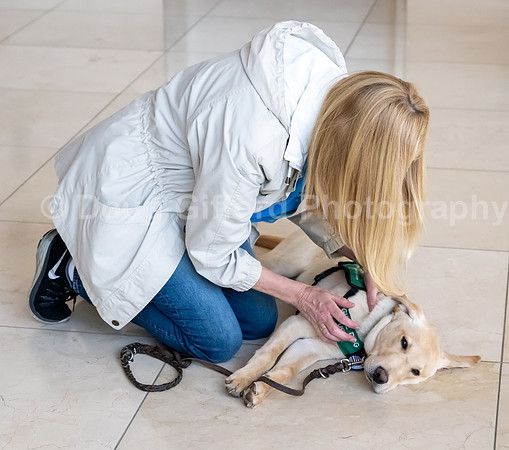 Walt Disney Animation Concert & Guide Dogs for the Blind