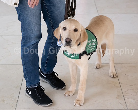 Walt Disney Animation Concert & Guide Dogs for the Blind