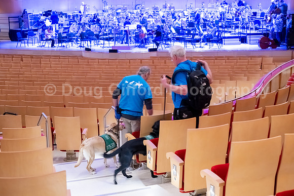 Walt Disney Animation Concert & Guide Dogs for the Blind