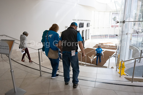 Walt Disney Animation Concert & Guide Dogs for the Blind
