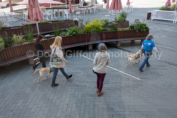 Walt Disney Animation Concert & Guide Dogs for the Blind