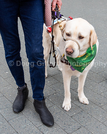 Walt Disney Animation Concert & Guide Dogs for the Blind