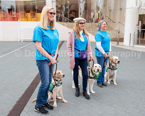 Walt Disney Animation Concert & Guide Dogs for the Blind