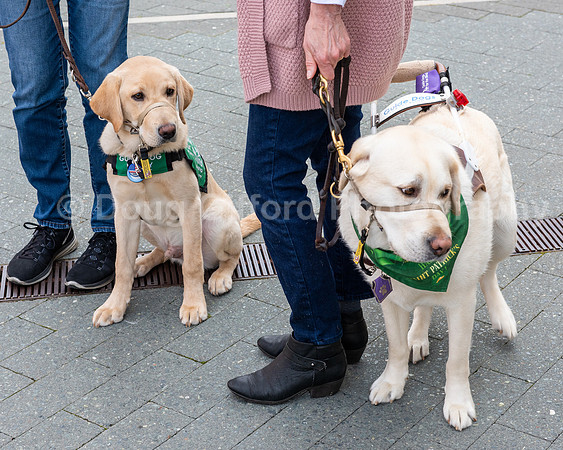 Walt Disney Animation Concert & Guide Dogs for the Blind