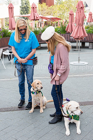 Walt Disney Animation Concert & Guide Dogs for the Blind