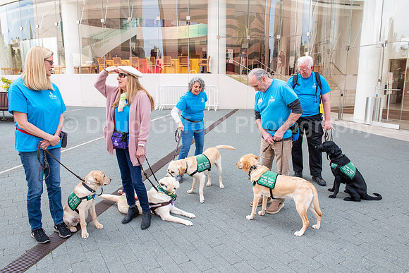 Walt Disney Animation Concert & Guide Dogs for the Blind