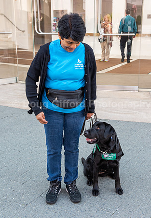 Walt Disney Animation Concert & Guide Dogs for the Blind