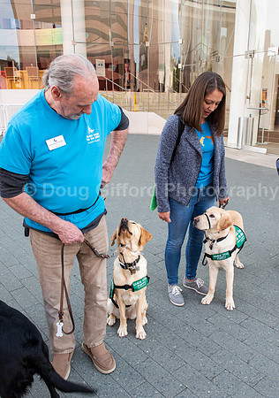 Walt Disney Animation Concert & Guide Dogs for the Blind