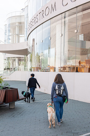 Walt Disney Animation Concert & Guide Dogs for the Blind