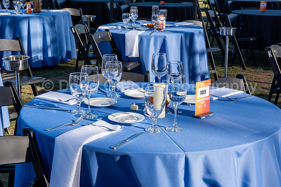 Pacific Symphony - Rhapsody in Blue at 100: Concert of Hope