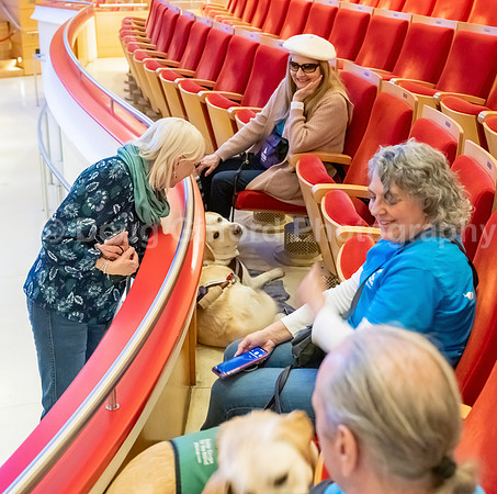 Walt Disney Animation Concert & Guide Dogs for the Blind