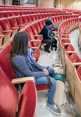Walt Disney Animation Concert & Guide Dogs for the Blind