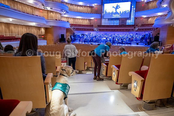 Walt Disney Animation Concert & Guide Dogs for the Blind