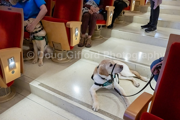 Walt Disney Animation Concert & Guide Dogs for the Blind