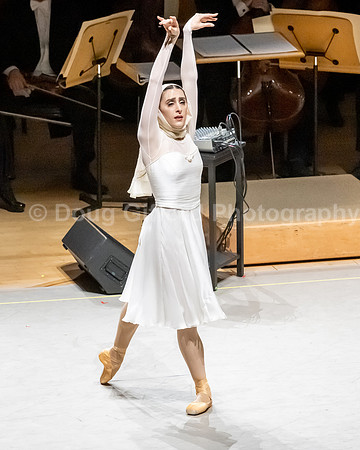 Pacific Symphony and Farhang Foundation - Nowruz Concert 2023