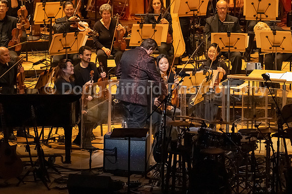 Pacific Symphony Pops - Renée Elise Goldsberry