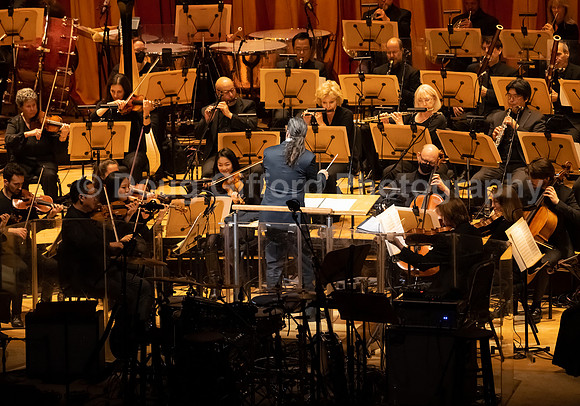 Pacific Symphony Pops - Renée Elise Goldsberry